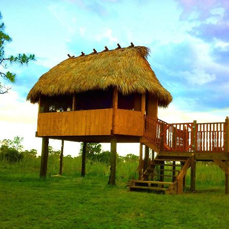 Everglades Chickee Cottage & Bungalow - Ochopee Esterno foto